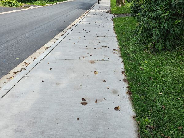 Cost of Sidewalk Renovation in Sioux Falls